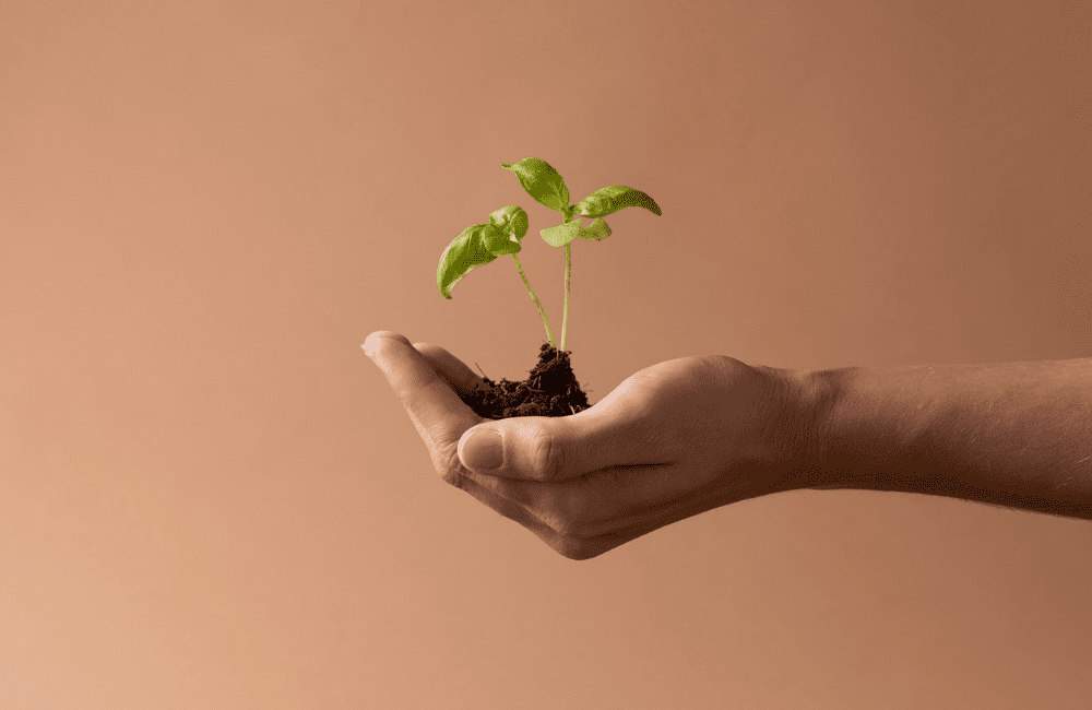 Deus quer que você cresça